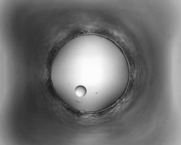 X0000093441253200710261033