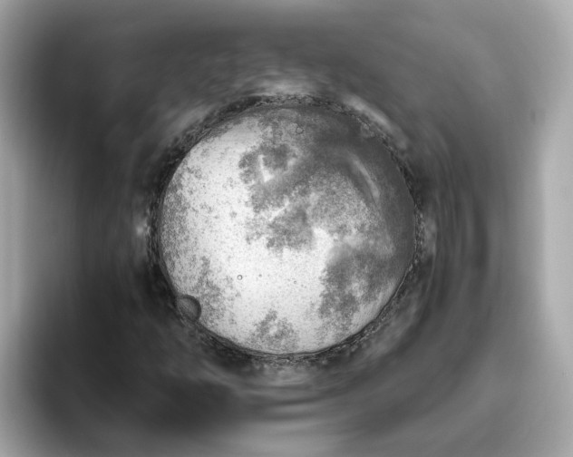 X0000093441254200710261033