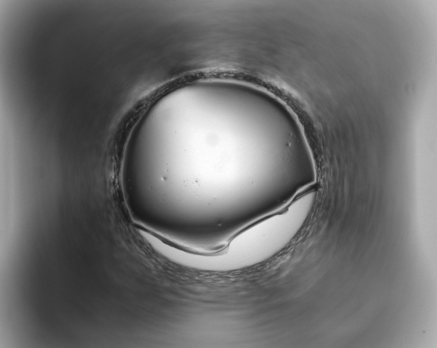 X0000093441255200710261033