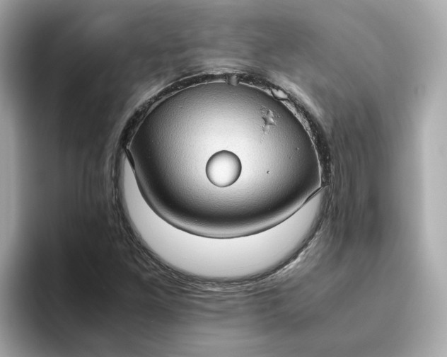 X0000093441261200710261033