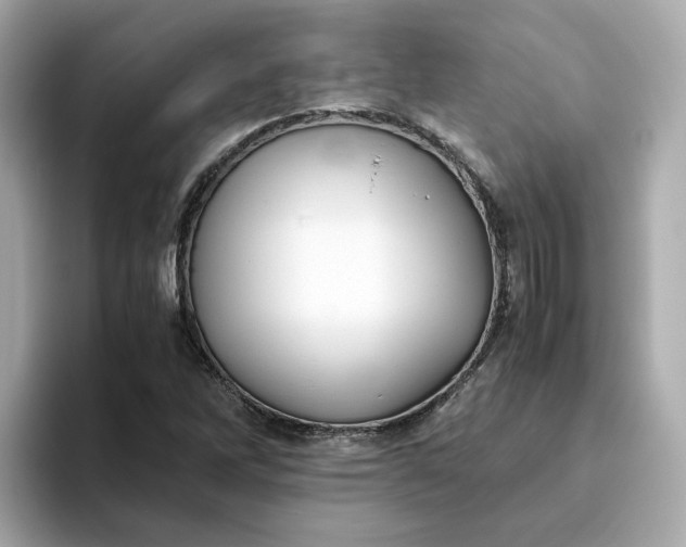 X0000093441262200710261033