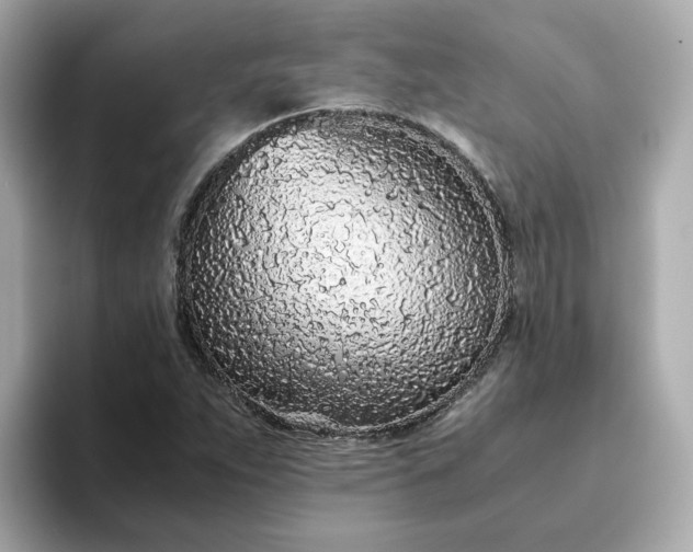X0000093441263200710261033