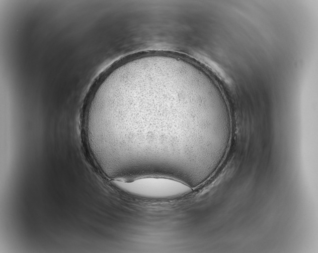 X0000093441264200710261033