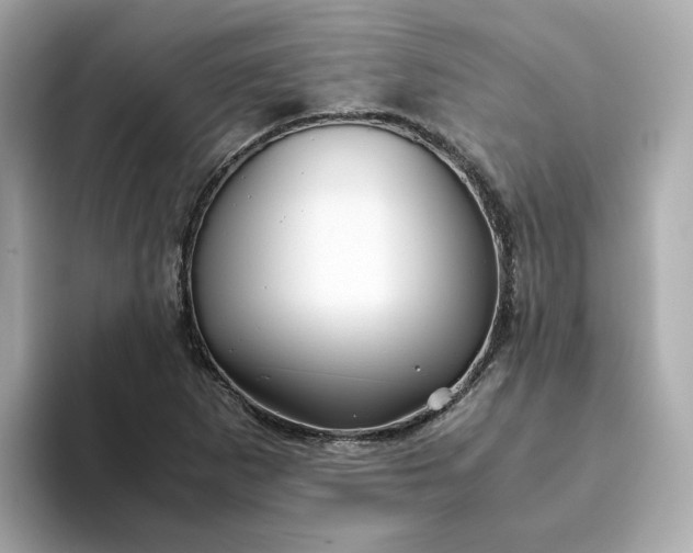 X0000093441265200710261033