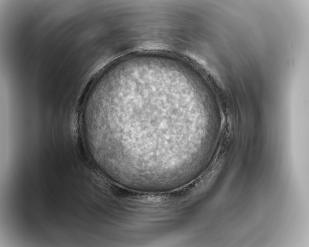 X0000093441266200710261033