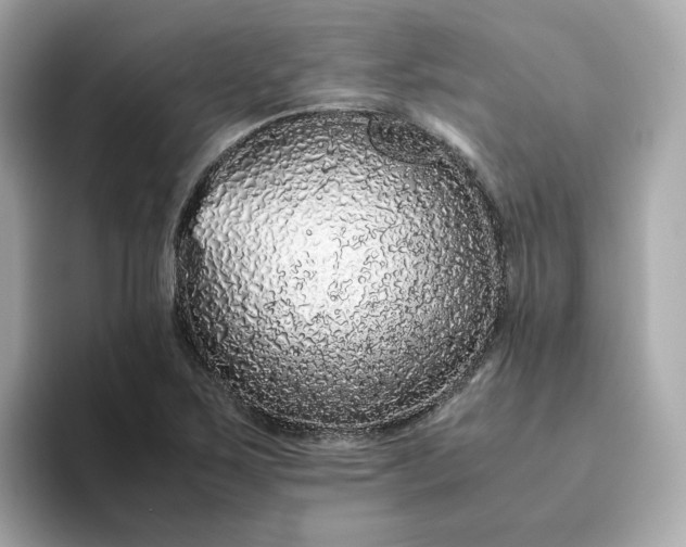 X0000093441267200710261033