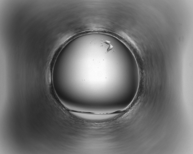 X0000093441269200710261032