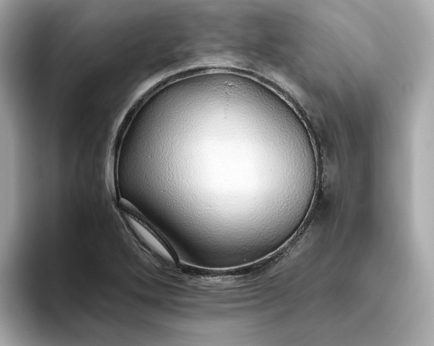 X0000093441272200710261032