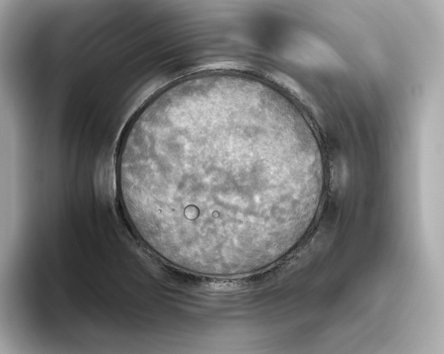 X0000093441274200710261032