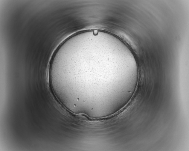 X0000093441276200710261032