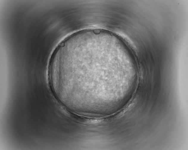 X0000093441278200710261032