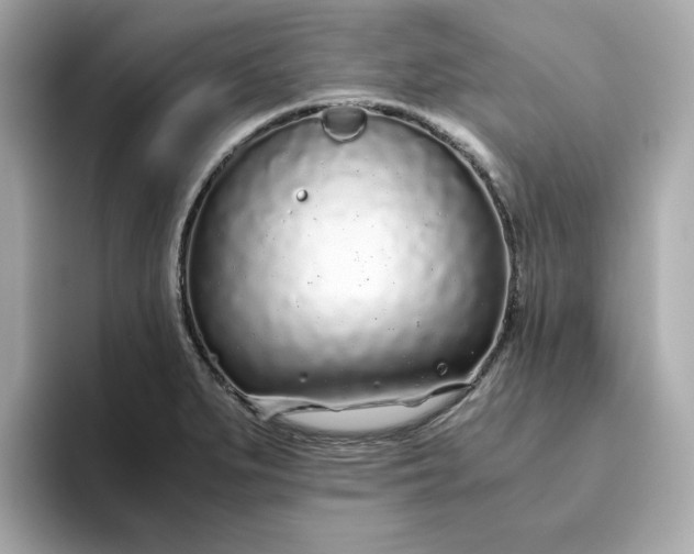 X0000093441279200710261032