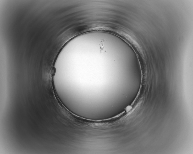 X0000093441281200710261032