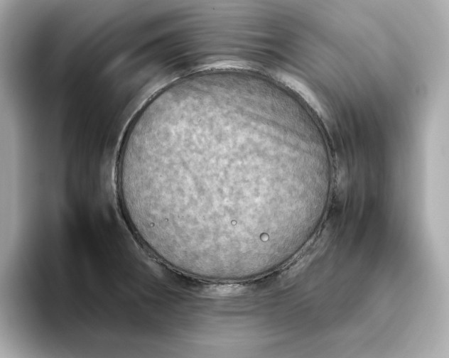 X0000093441282200710261032
