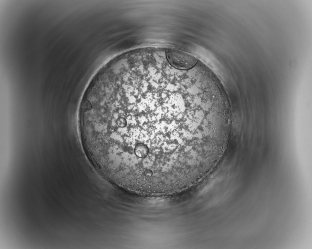 X0000093441283200710261032