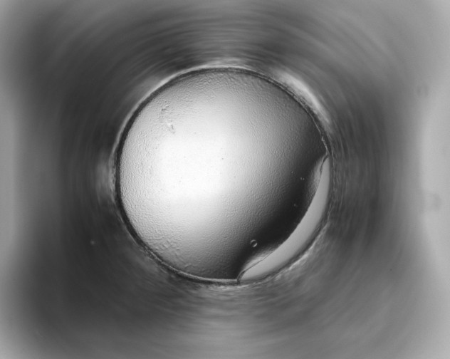 X0000093441284200710261032