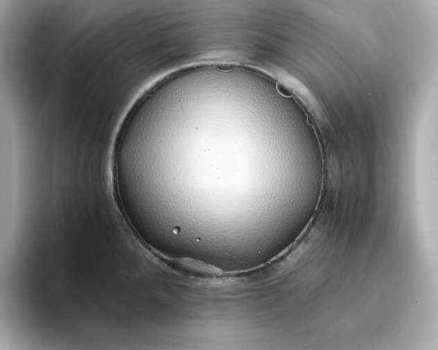 X0000093441288200710261032