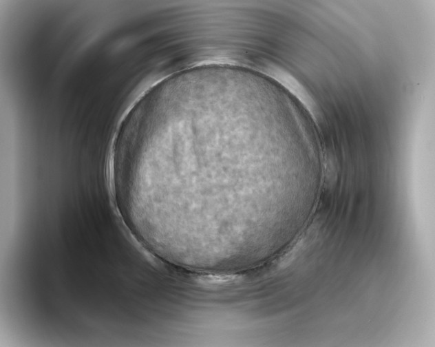 X0000093441290200710261032