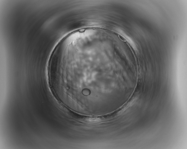 X0000093441291200710261032