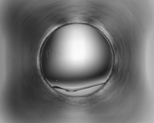 X0000093441293200710261032