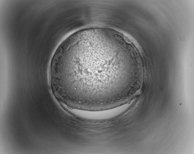 X0000093441295200710261032