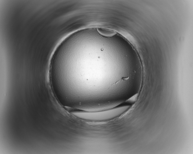 X0000093441296200710261032