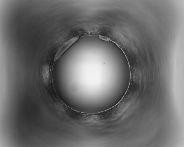 X0000093441298200710261032