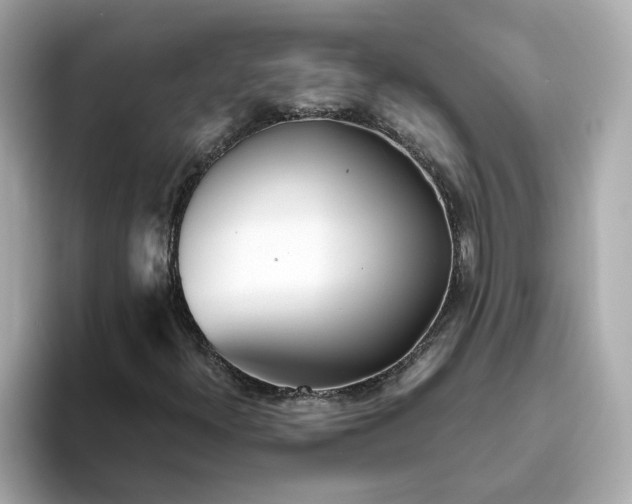 X0000093441300200710261032