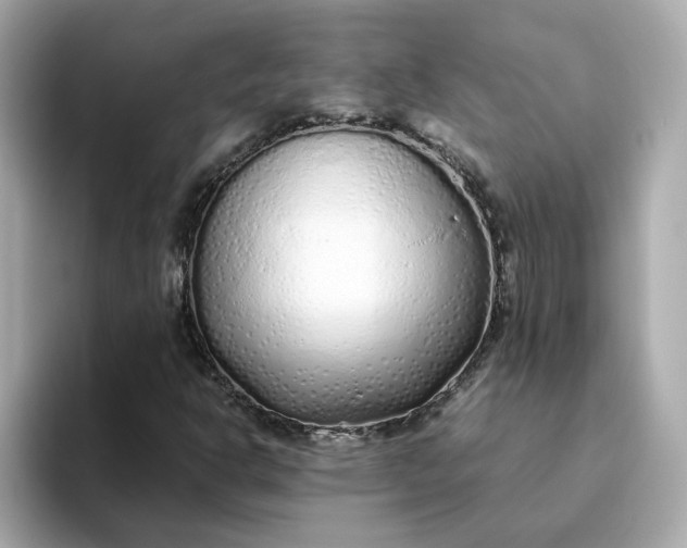 X0000093441302200710261032