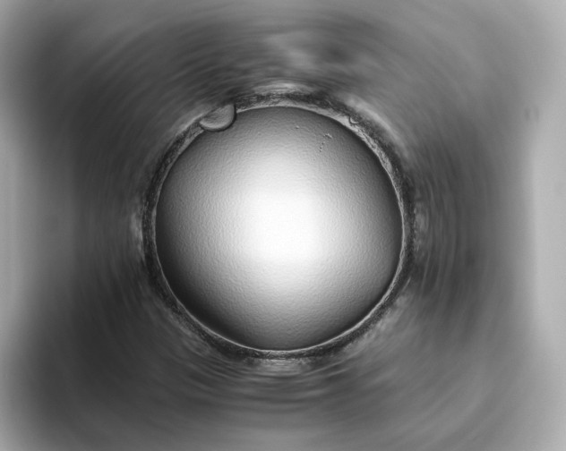 X0000093441305200710261032