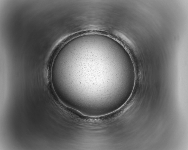 X0000093441310200710261032