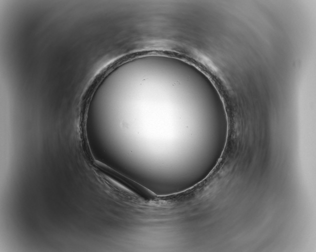 X0000093441312200710261032