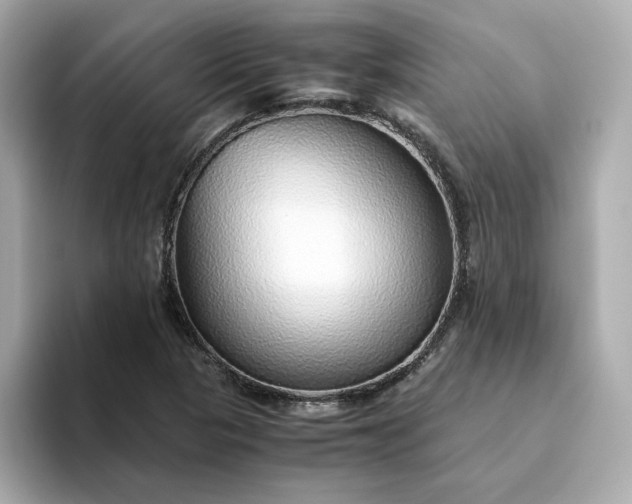 X0000093441313200710261032
