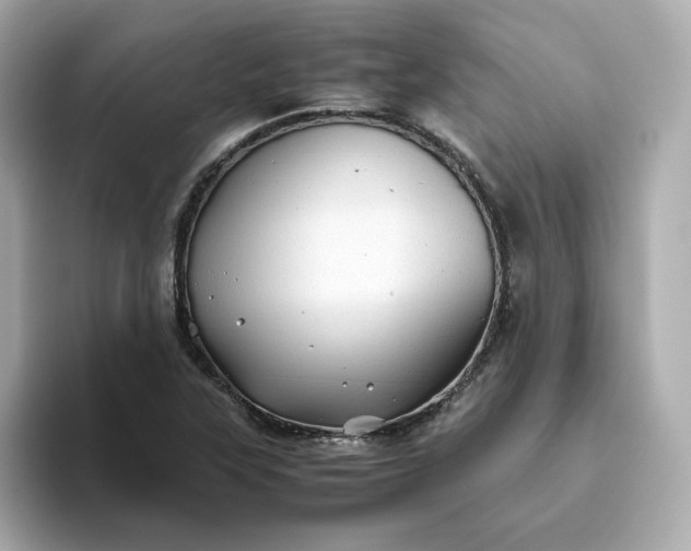 X0000093441315200710261032