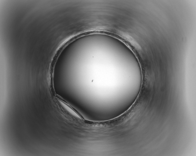 X0000093441316200710261032