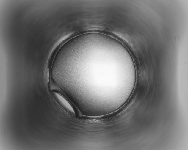 X0000093441317200710261032