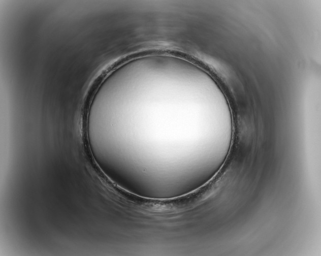 X0000093441318200710261032
