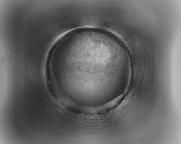 X0000093441319200710261032