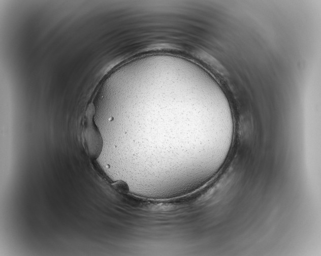 X0000093441321200710261032
