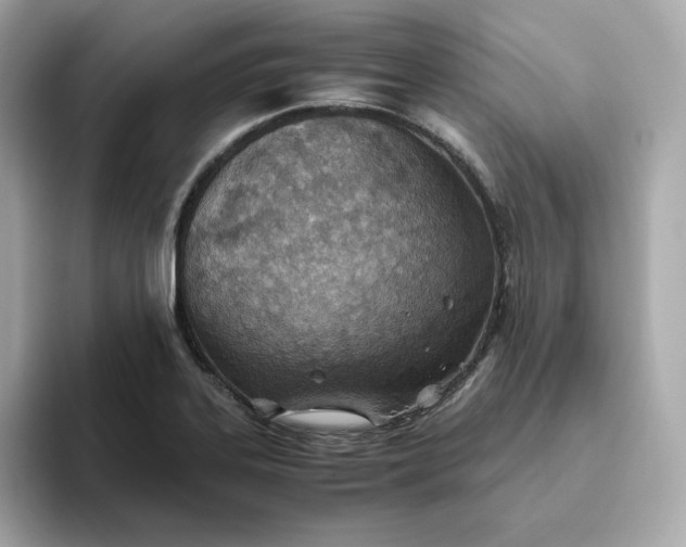 X0000093441323200710261032
