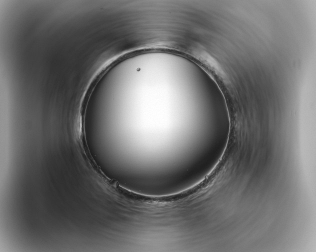 X0000093441324200710261032
