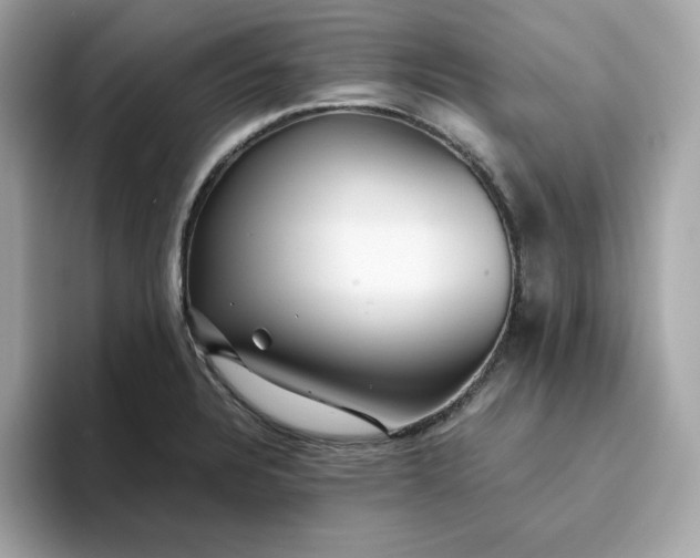 X0000093441328200710261032