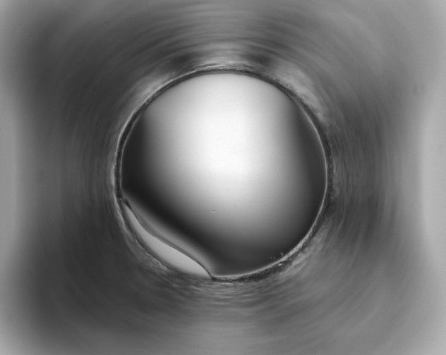 X0000093441330200710261032