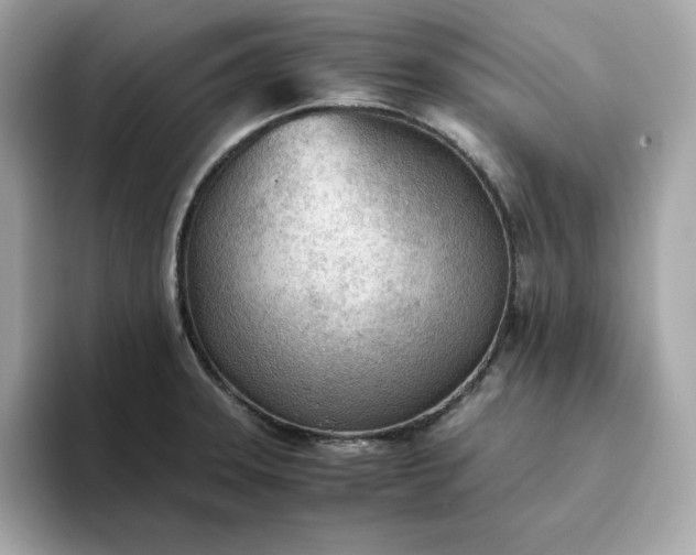 X0000093441331200710261032