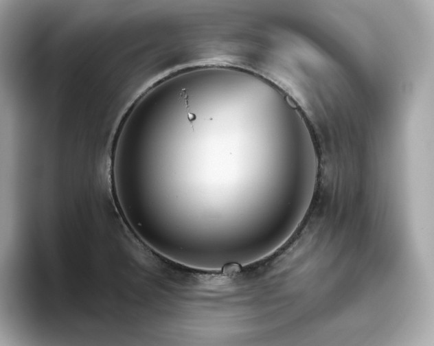 X0000093441332200710261032