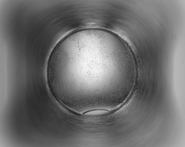 X0000093441333200710261032