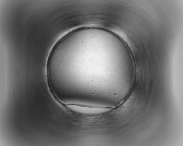 X0000093441335200710261032