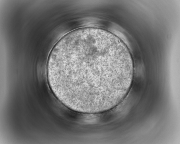 X0000093441338200710261032