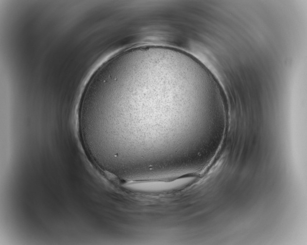 X0000093441341200710261032