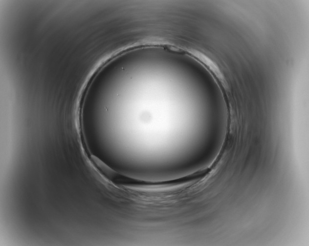 X0000093441342200710261032